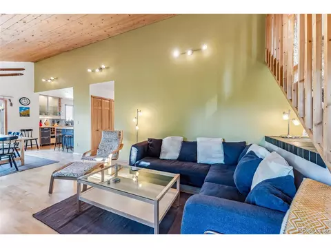 1038 Gold Pan Ln, Fairplay, CO 80440 photo 17