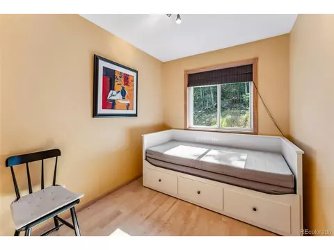 1038 Gold Pan Ln, Fairplay, CO 80440 photo 24