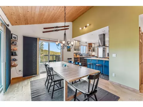 1038 Gold Pan Ln, Fairplay, CO 80440 photo 13