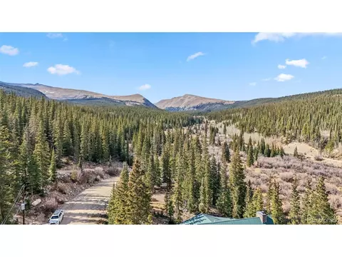 1038 Gold Pan Ln, Fairplay, CO 80440 photo 31