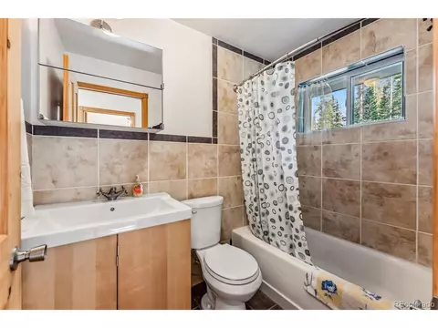 1038 Gold Pan Ln, Fairplay, CO 80440 photo 21