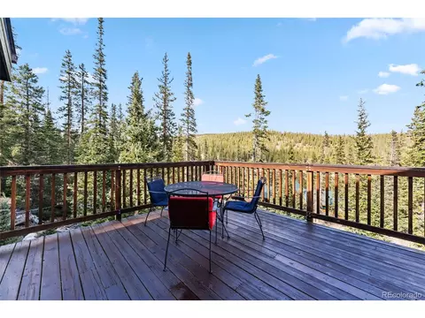 1038 Gold Pan Ln, Fairplay, CO 80440 photo 34