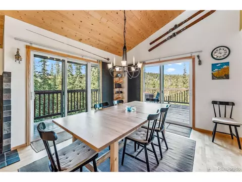 1038 Gold Pan Ln, Fairplay, CO 80440 photo 14