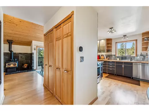 1038 Gold Pan Ln, Fairplay, CO 80440 photo 19