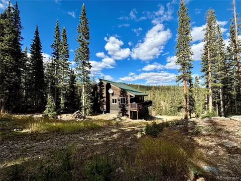 1038 Gold Pan Ln, Fairplay, CO 80440 photo 38