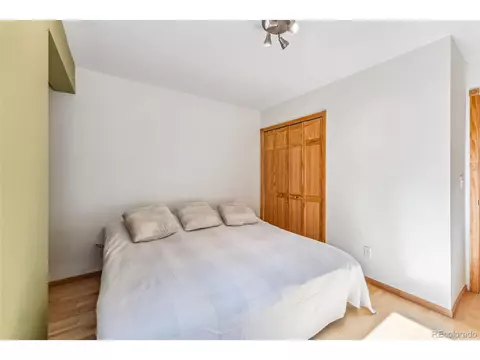 1038 Gold Pan Ln, Fairplay, CO 80440 photo 23
