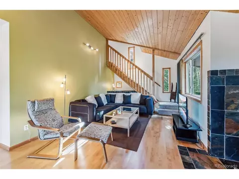 1038 Gold Pan Ln, Fairplay, CO 80440 photo 16