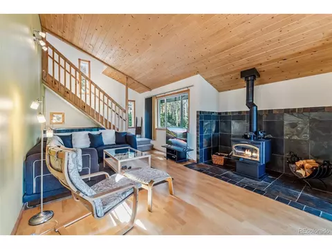 1038 Gold Pan Ln, Fairplay, CO 80440 photo 15