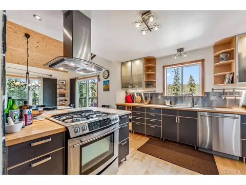 1038 Gold Pan Ln, Fairplay, CO 80440 photo 4