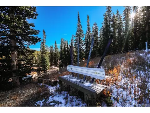 1038 Gold Pan Ln, Fairplay, CO 80440 photo 46