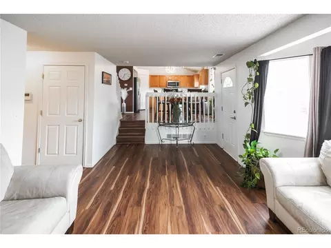 Living - 15002 E 50th Dr, Denver, CO 80239 photo 4 of 4