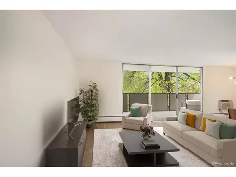 1085 N Lafayette St #504, Denver, CO 80218