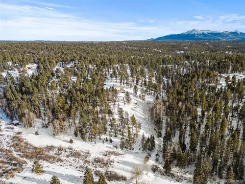 371 Rangeview Rd, Divide, CO 80814 photo 34