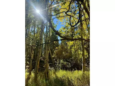0 Lone Ponderosa Dr, Black Hawk, CO 80422