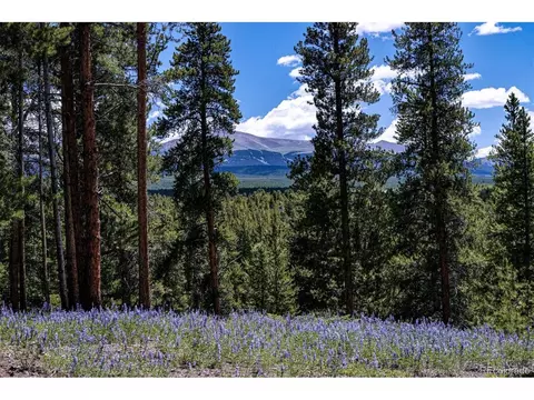 14 Elk Trl, Leadville, CO 80461