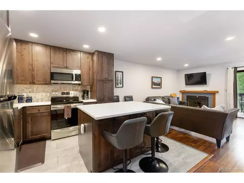 500 Bills Ranch Rd #251, Frisco, CO 80443