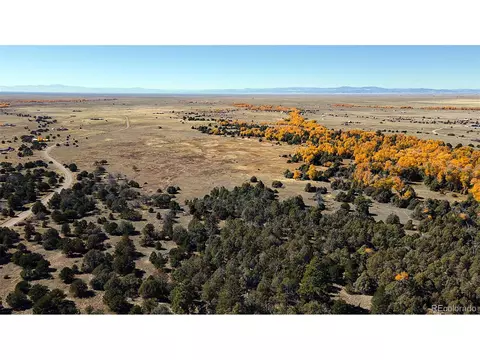 916 Brook Trout Rd, Crestone, CO 81131