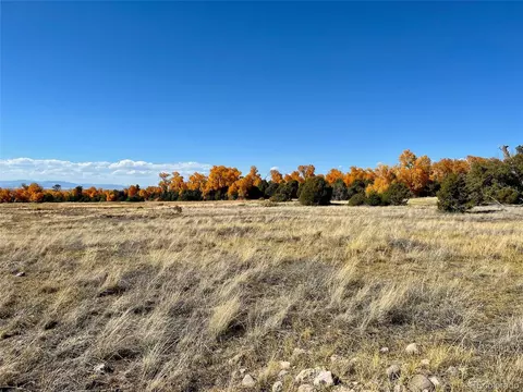 916 Brook Trout Rd, Crestone, CO 81131 photo 6