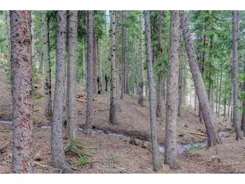 10378 Christopher Dr, Conifer, CO 80433 photo 30