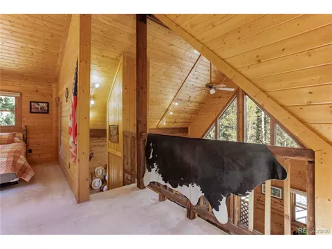 10378 Christopher Dr, Conifer, CO 80433 photo 20