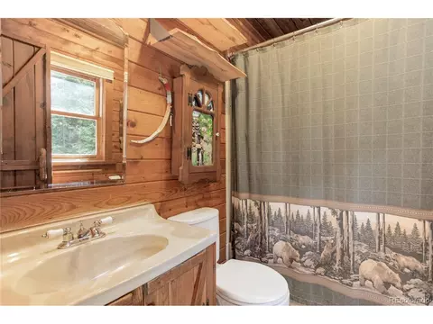 10378 Christopher Dr, Conifer, CO 80433 photo 18