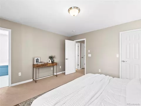7899 E 28th Pl, Denver, CO 80238 photo 19