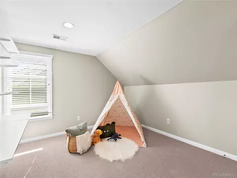 7899 E 28th Pl, Denver, CO 80238 photo 28