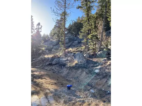 451 Old Sawmill Rd, Bailey, CO 80421 photo 13