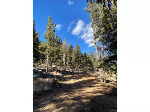 451 Old Sawmill Rd, Bailey, CO 80421 photo 16