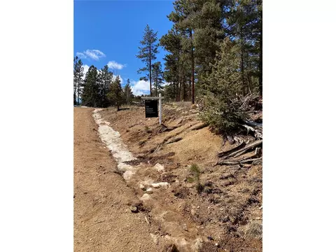 451 Old Sawmill Rd, Bailey, CO 80421 photo 10