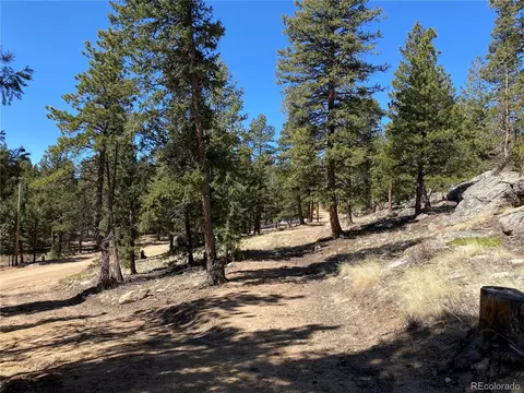 451 Old Sawmill Rd, Bailey, CO 80421 photo 25