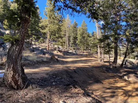 451 Old Sawmill Rd, Bailey, CO 80421 photo 3