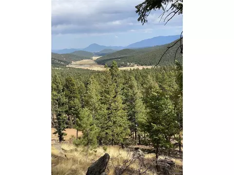 451 Old Sawmill Rd, Bailey, CO 80421 photo 11