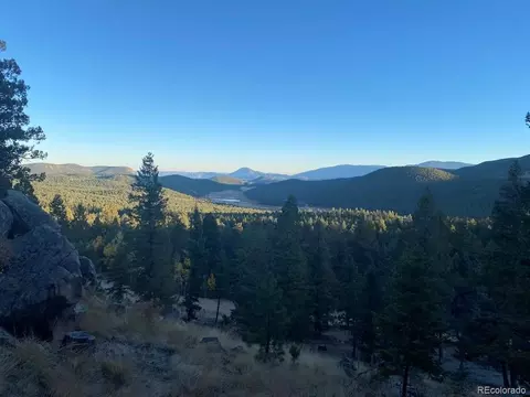 451 Old Sawmill Rd, Bailey, CO 80421