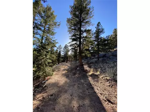 451 Old Sawmill Rd, Bailey, CO 80421 photo 20