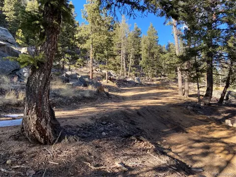451 Old Sawmill Rd, Bailey, CO 80421 photo 15
