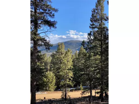 451 Old Sawmill Rd, Bailey, CO 80421 photo 8