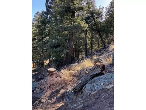 451 Old Sawmill Rd, Bailey, CO 80421 photo 19
