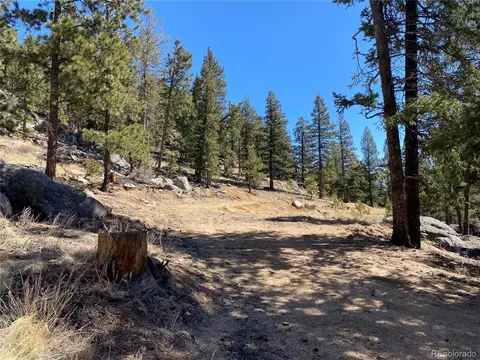 451 Old Sawmill Rd, Bailey, CO 80421 photo 23