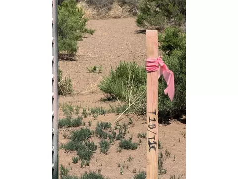1 Lane 2, Mosca, CO 81146 photo 2