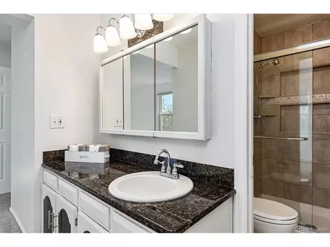 17463 E Prentice Cir, Centennial, CO 80015 photo 15