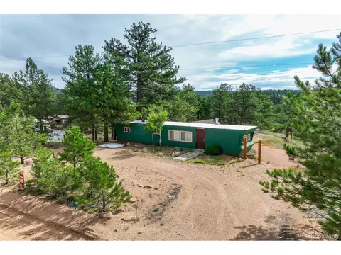 288 Forest Glen Trl, Florissant, CO 80816