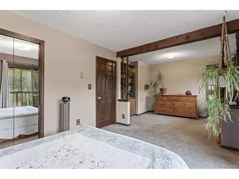 10485 Crystal Dr, Morrison, CO 80465 photo 35