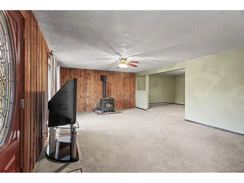 10485 Crystal Dr, Morrison, CO 80465 photo 18