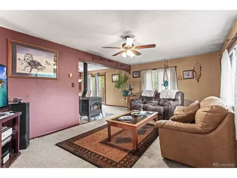 10485 Crystal Dr, Morrison, CO 80465 photo 16