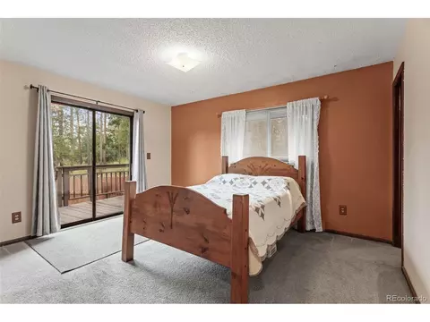 10485 Crystal Dr, Morrison, CO 80465 photo 22