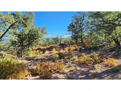 42 Nd Trl, Cotopaxi, CO 81223