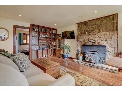 700 Rosalie Rd, Bailey, CO 80421 photo 19