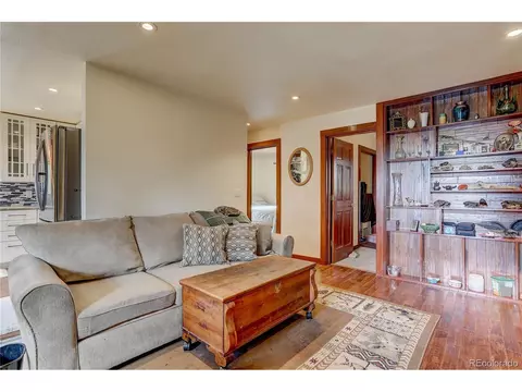700 Rosalie Rd, Bailey, CO 80421 photo 7