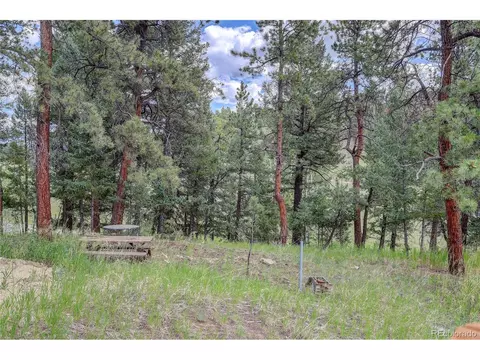 700 Rosalie Rd, Bailey, CO 80421 photo 38